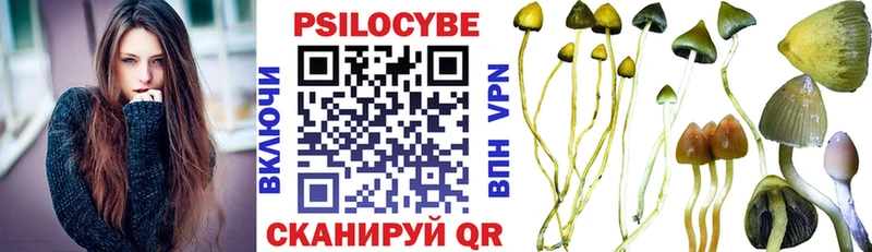 Галлюциногенные грибы MAGIC MUSHROOMS  где купить наркотик  Урюпинск 